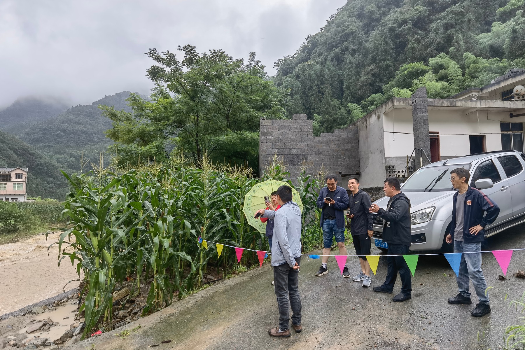 1753693100410075670.jpg 1.jpg