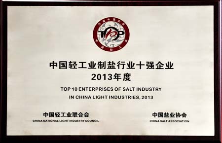 云南盐化荣获“中国轻工业制盐行业十强企业”称号
