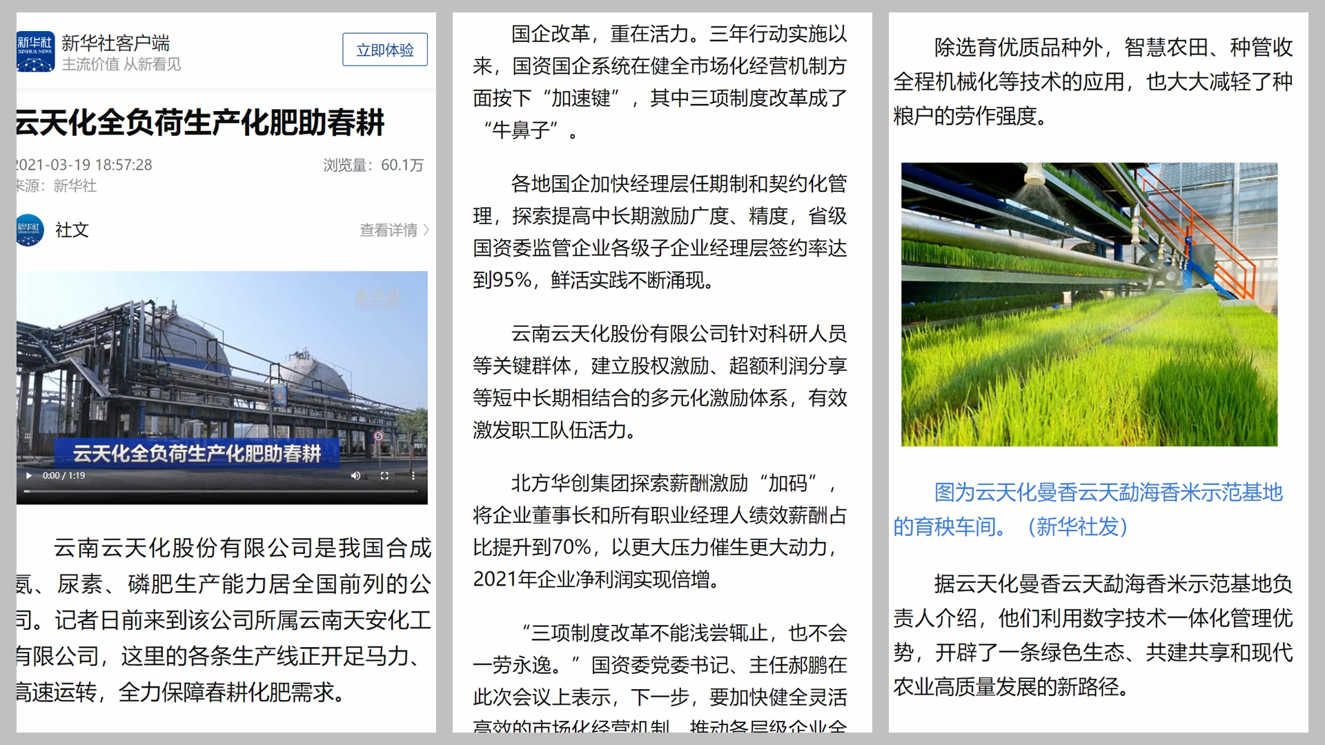 如何提升国企活力和效率？新华社以云天化作范例