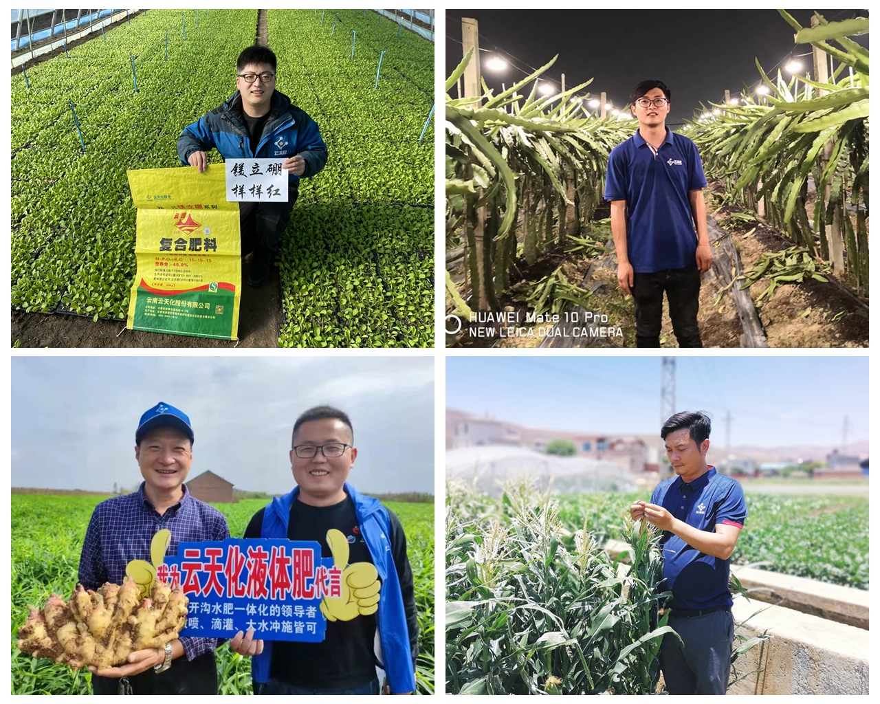 云天化职工热议习近平总书记回信：为加快推进农业农村现代化贡献青春力量